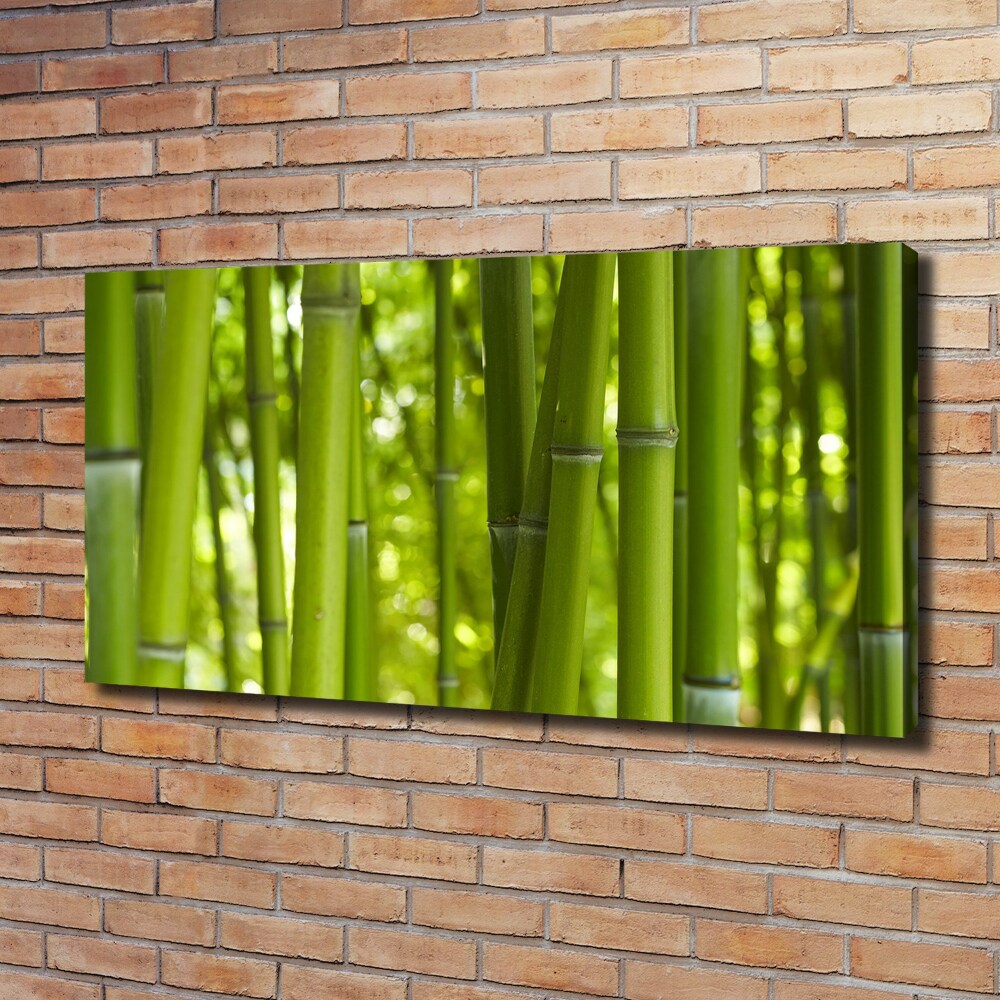 Canvas wall art Bamboo