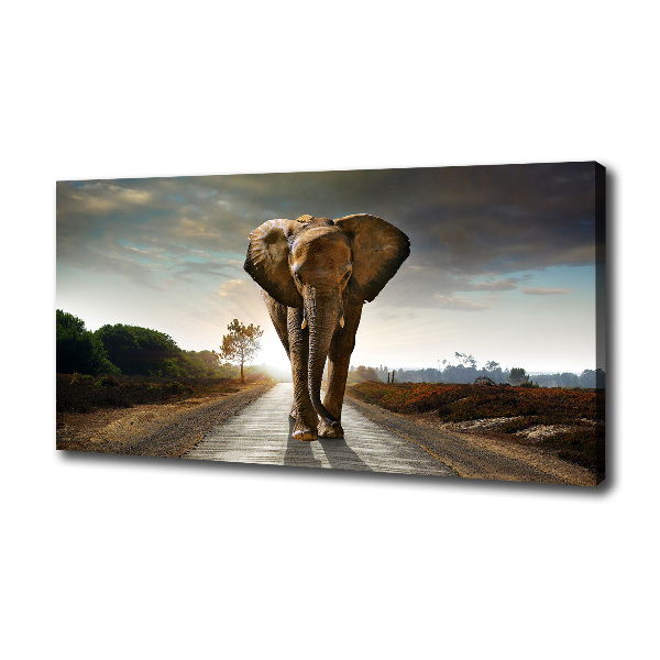Walking the elephant