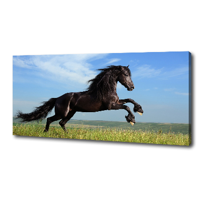 Large canvas wall art Black horse in the meadow