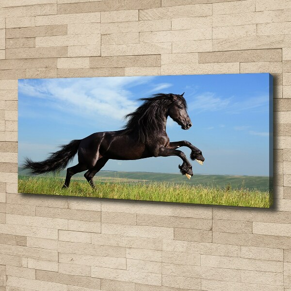 Large canvas wall art Black horse in the meadow