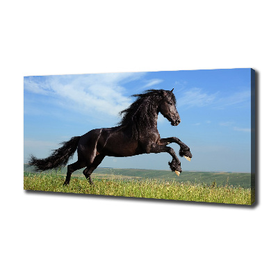 Large canvas wall art Black horse in the meadow