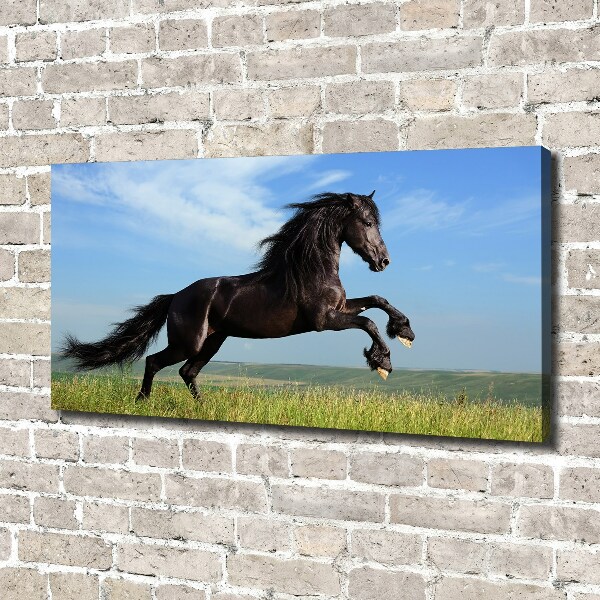 Large canvas wall art Black horse in the meadow