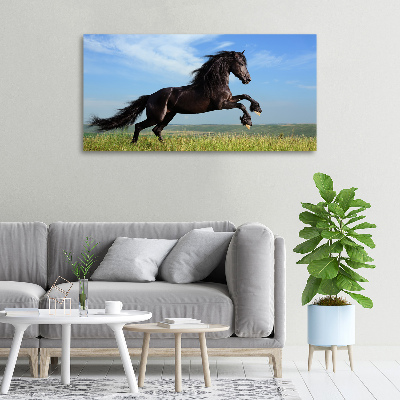 Large canvas wall art Black horse in the meadow