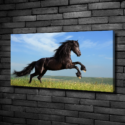 Large canvas wall art Black horse in the meadow