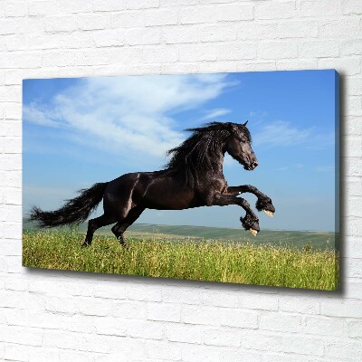 Large canvas wall art Black horse in the meadow