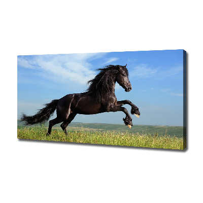 Large canvas wall art Black horse in the meadow