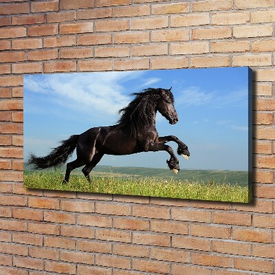 Large canvas wall art Black horse in the meadow