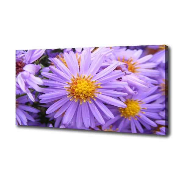 Canvas wall art Asters