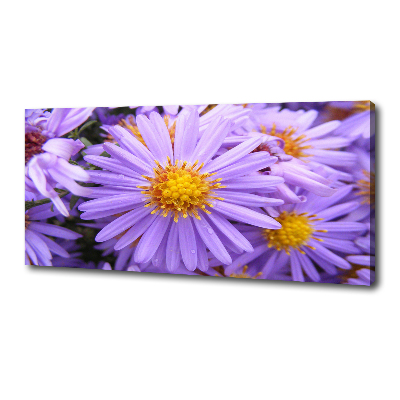 Canvas wall art Asters