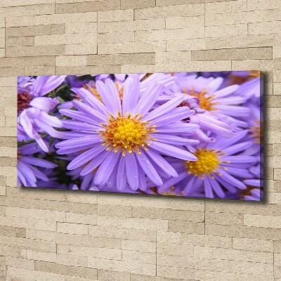 Canvas wall art Asters