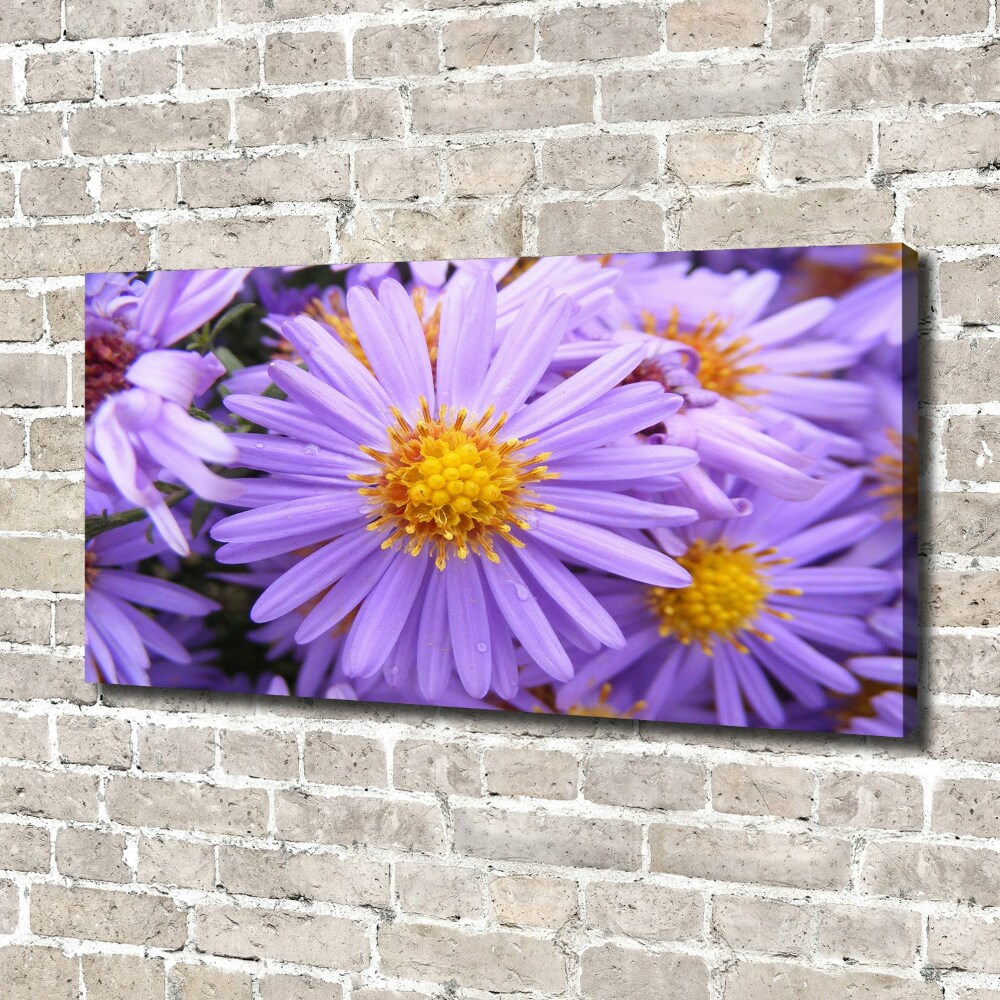 Canvas wall art Asters