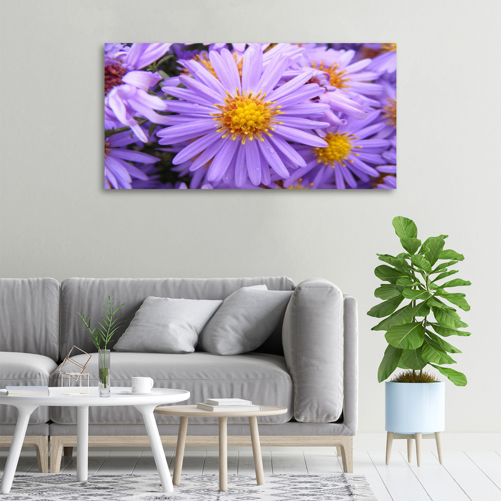 Canvas wall art Asters