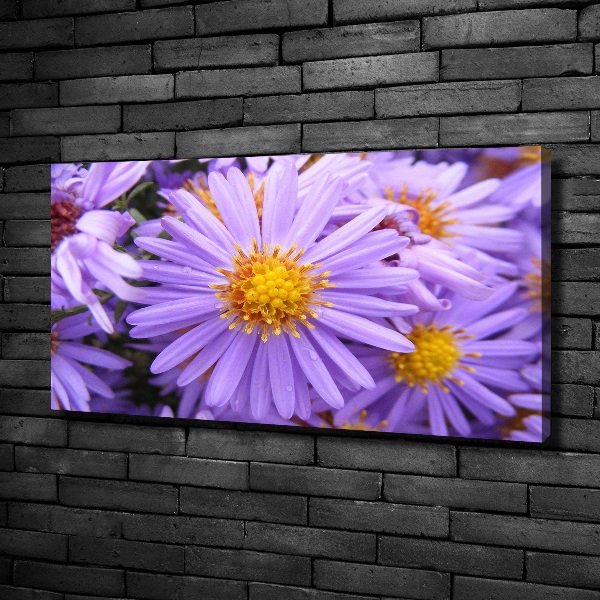 Canvas wall art Asters