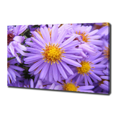 Canvas wall art Asters