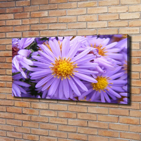 Canvas wall art Asters