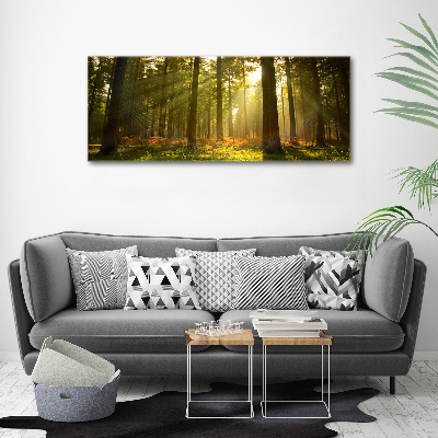 Canvas wall art Forest in the sun