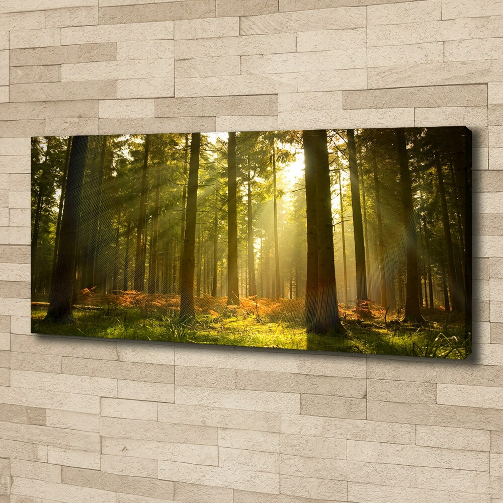 Canvas wall art Forest in the sun