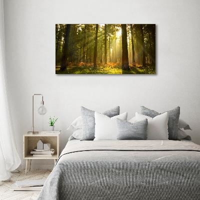 Canvas wall art Forest in the sun