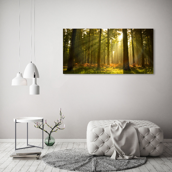 Canvas wall art Forest in the sun