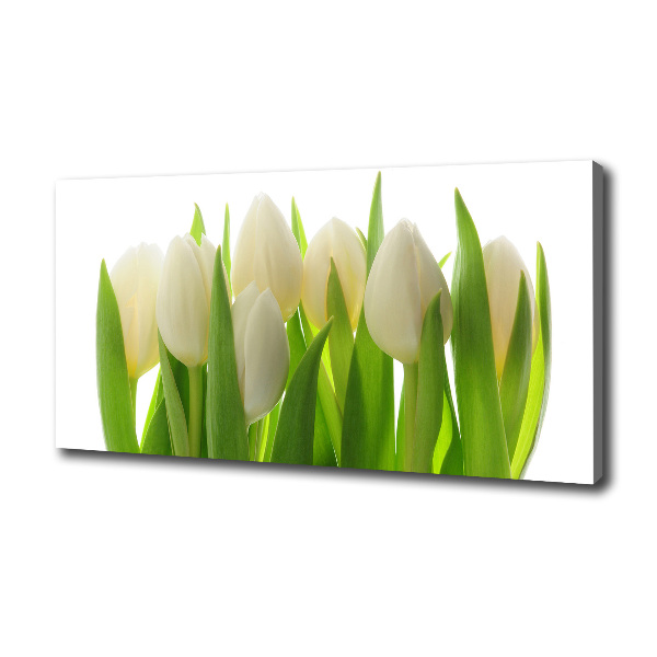 Canvas wall art Tulips