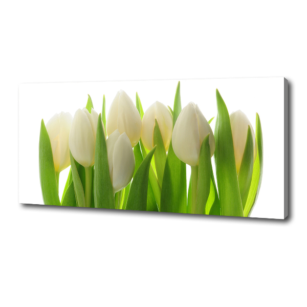 Canvas wall art Tulips