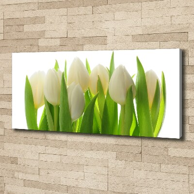 Canvas wall art Tulips