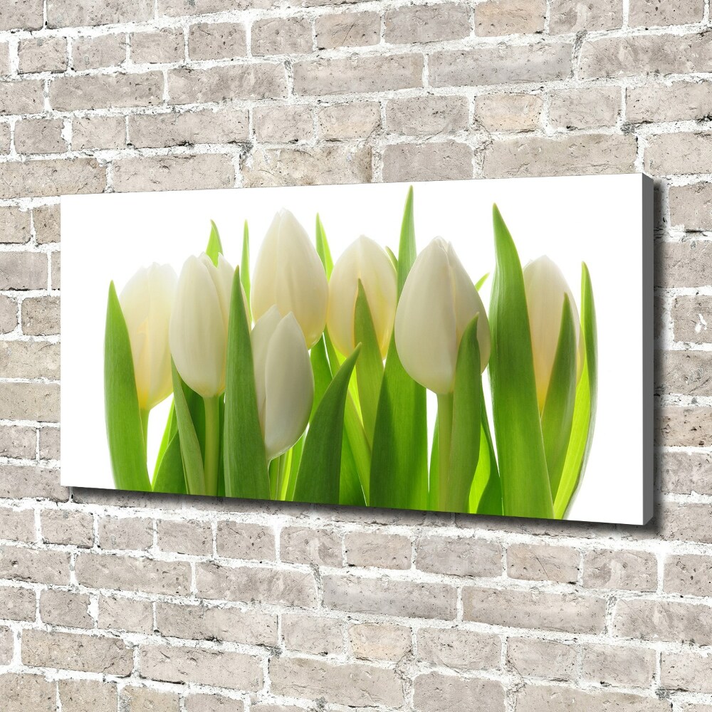 Canvas wall art Tulips