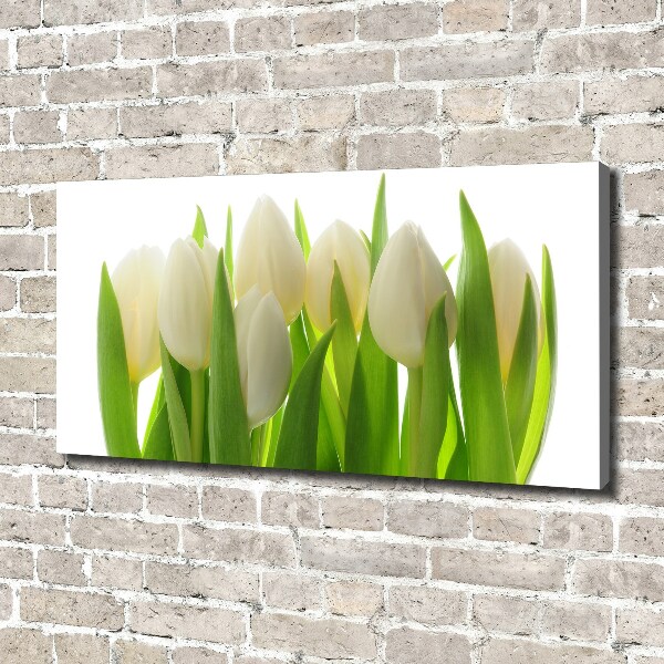 Canvas wall art Tulips