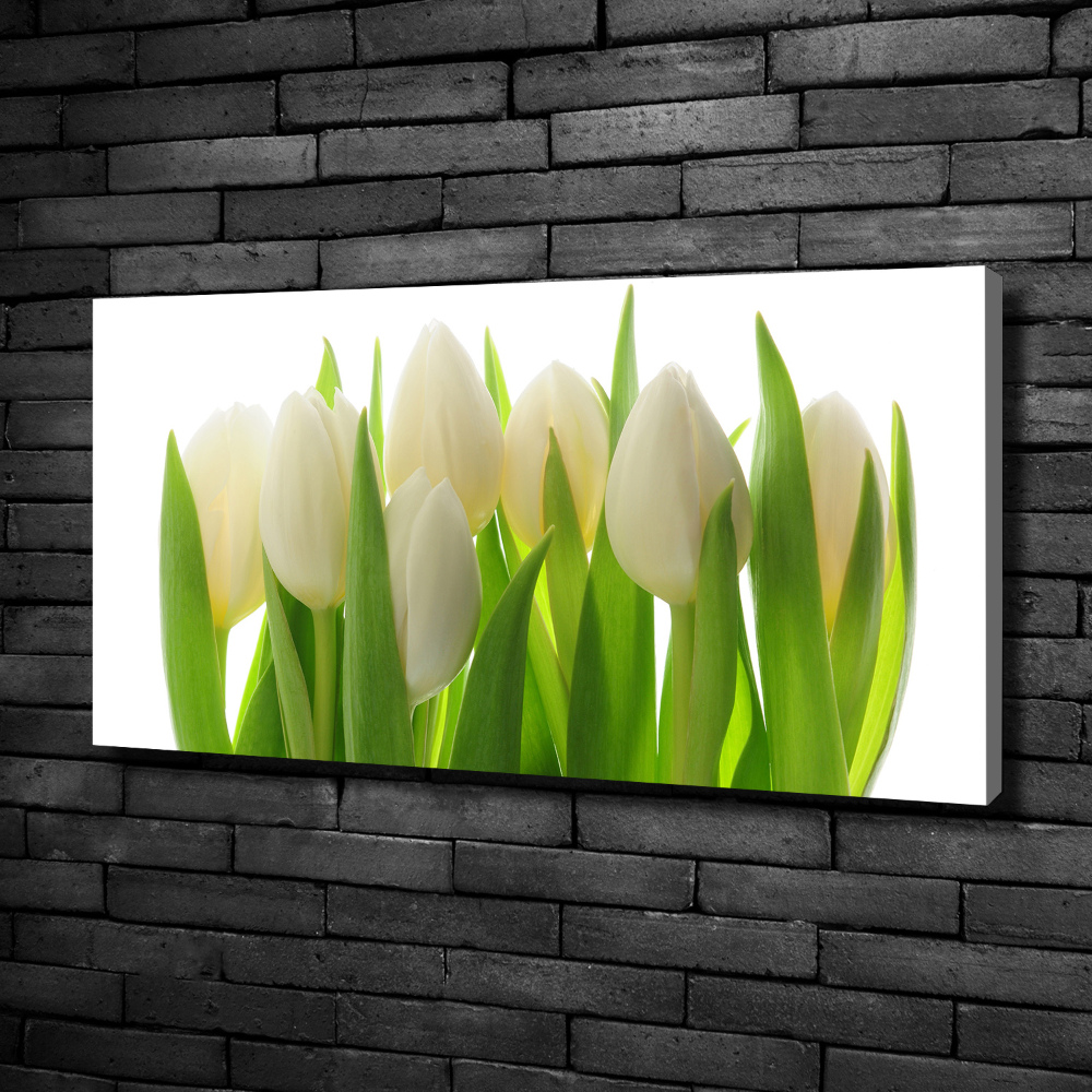 Canvas wall art Tulips