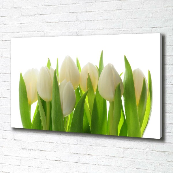 Canvas wall art Tulips