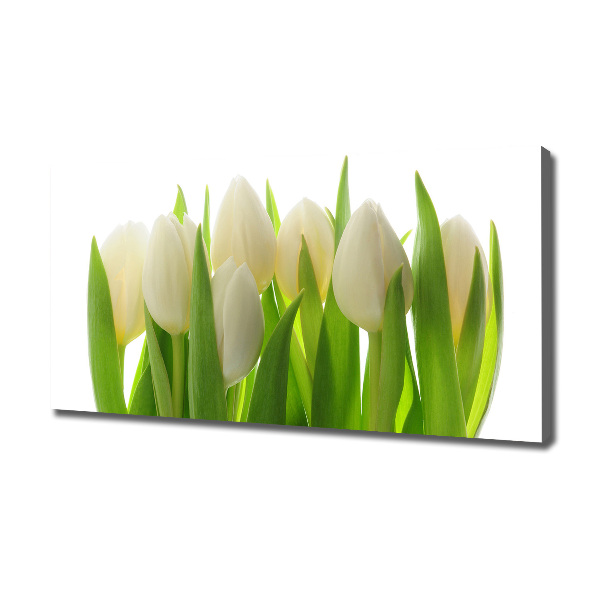 Canvas wall art Tulips