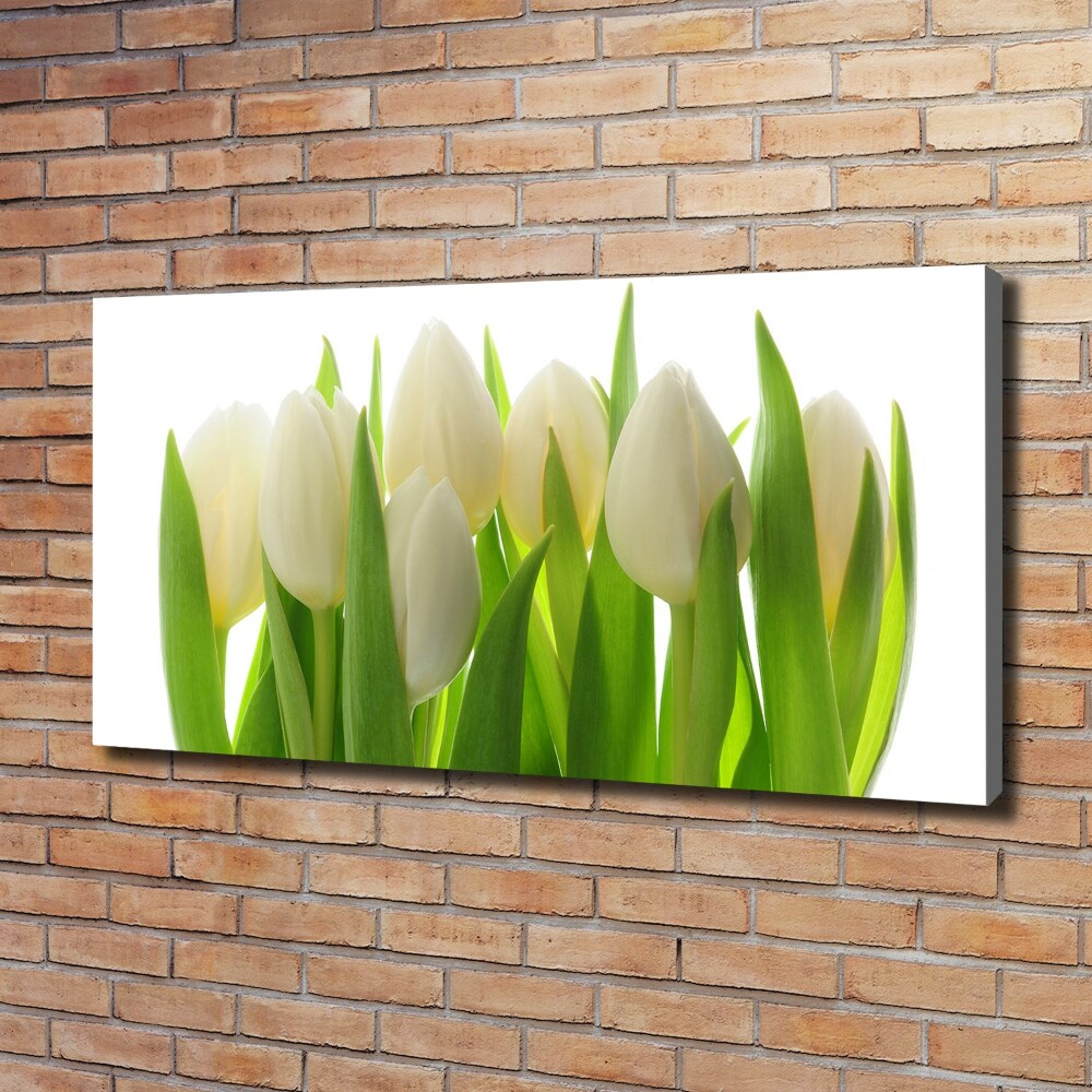 Canvas wall art Tulips