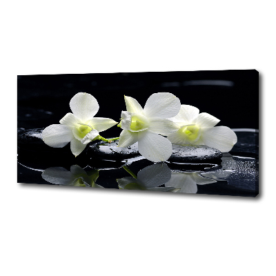 Canvas wall art Orchid