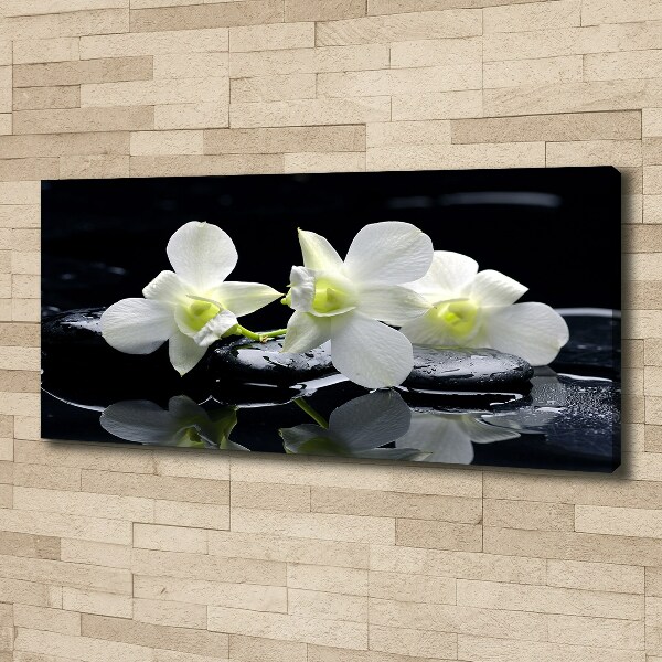 Canvas wall art Orchid