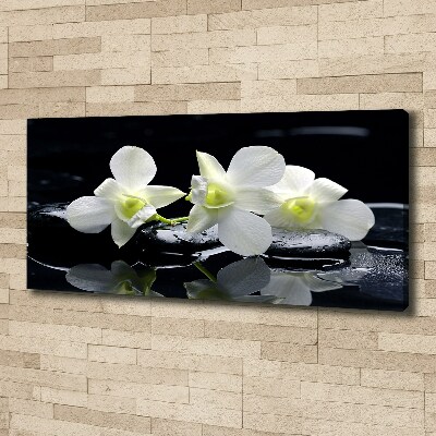 Canvas wall art Orchid