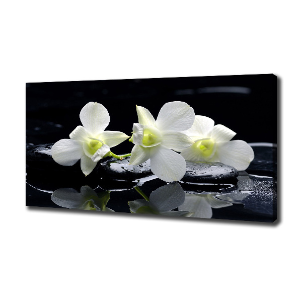 Canvas wall art Orchid