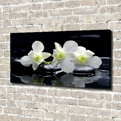 Canvas wall art Orchid