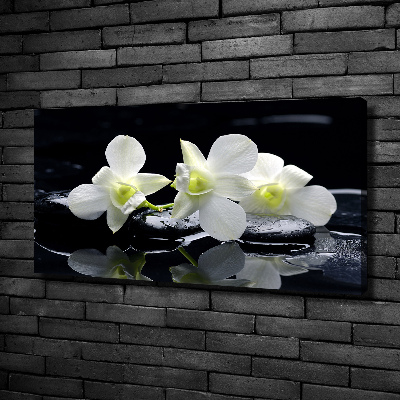 Canvas wall art Orchid