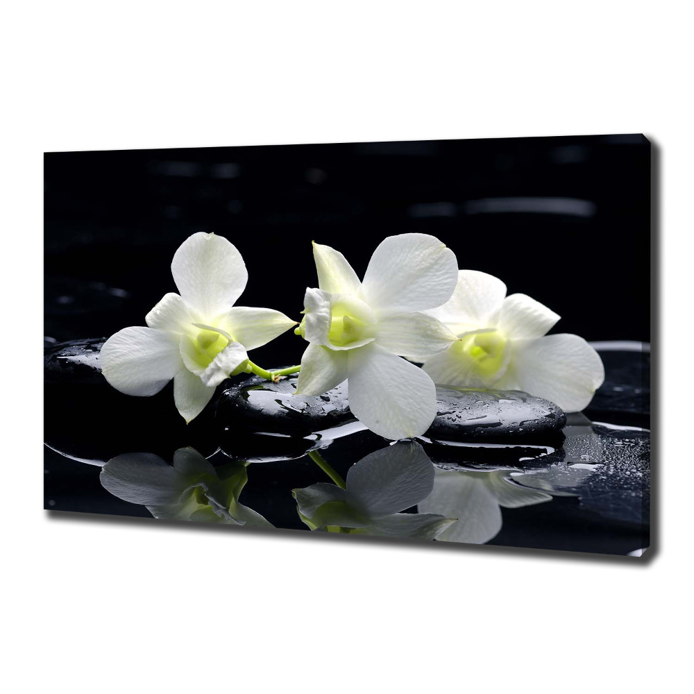 Canvas wall art Orchid