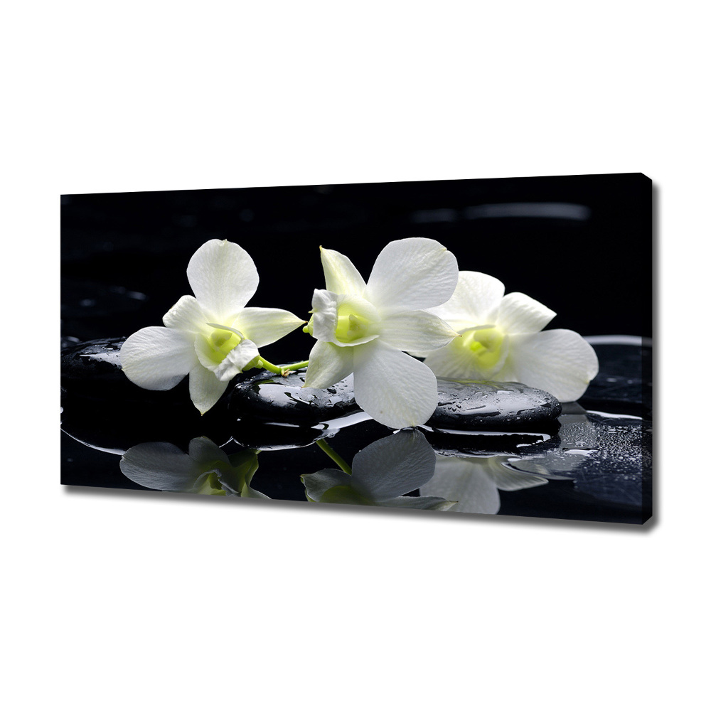 Canvas wall art Orchid