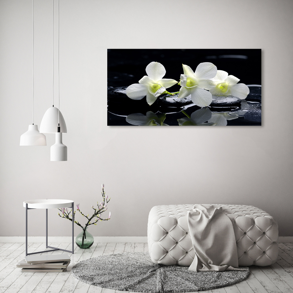 Canvas wall art Orchid