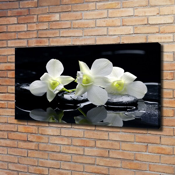 Canvas wall art Orchid