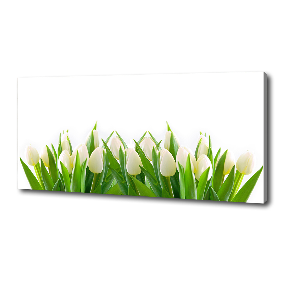 Canvas wall art White tulips