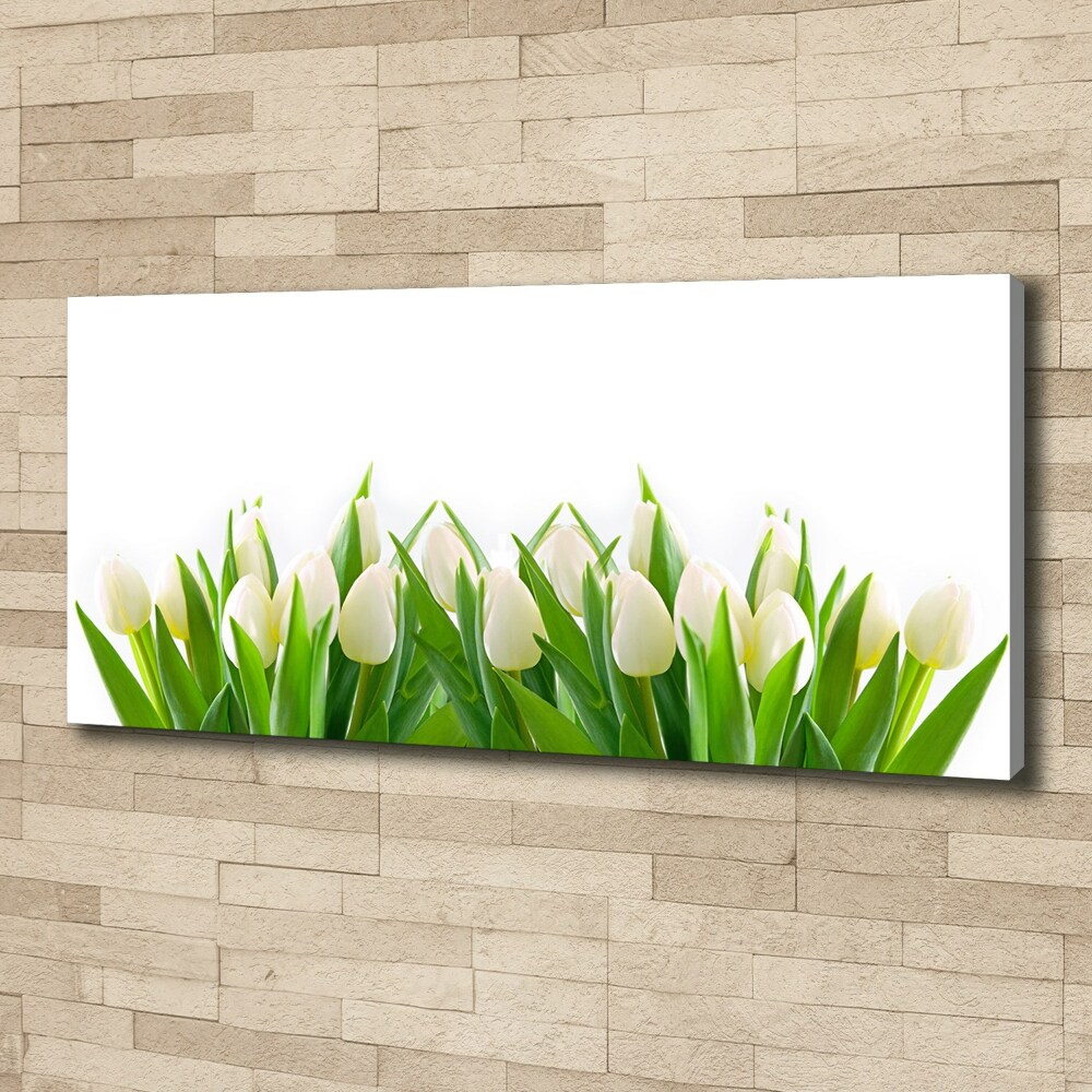 Canvas wall art White tulips