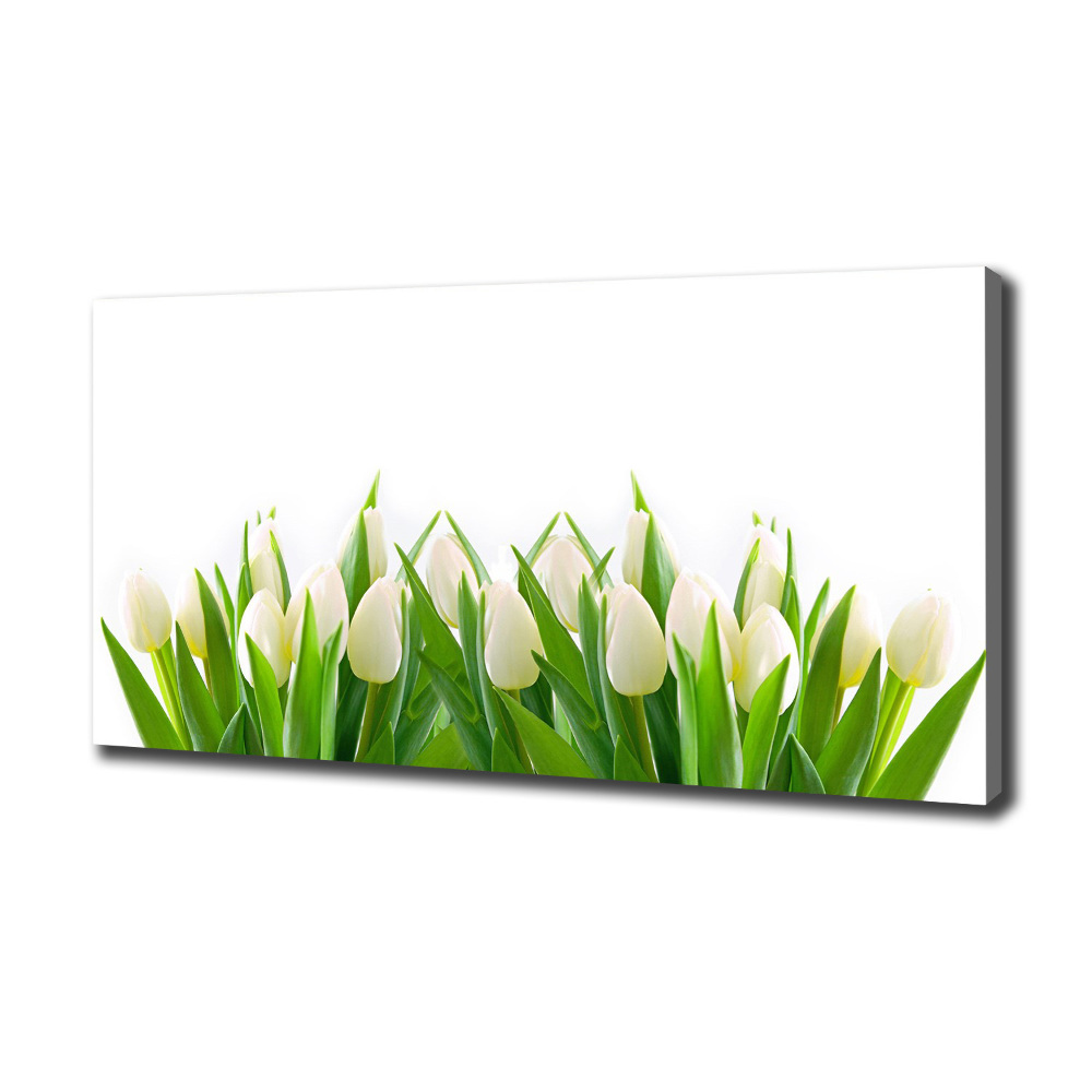 Canvas wall art White tulips