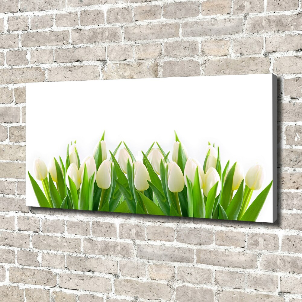 Canvas wall art White tulips