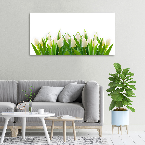 Canvas wall art White tulips