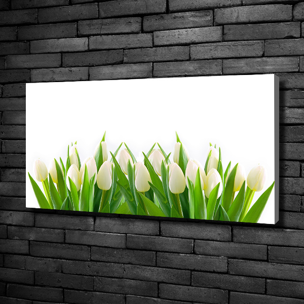 Canvas wall art White tulips