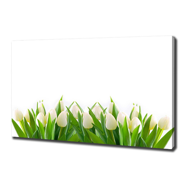 Canvas wall art White tulips