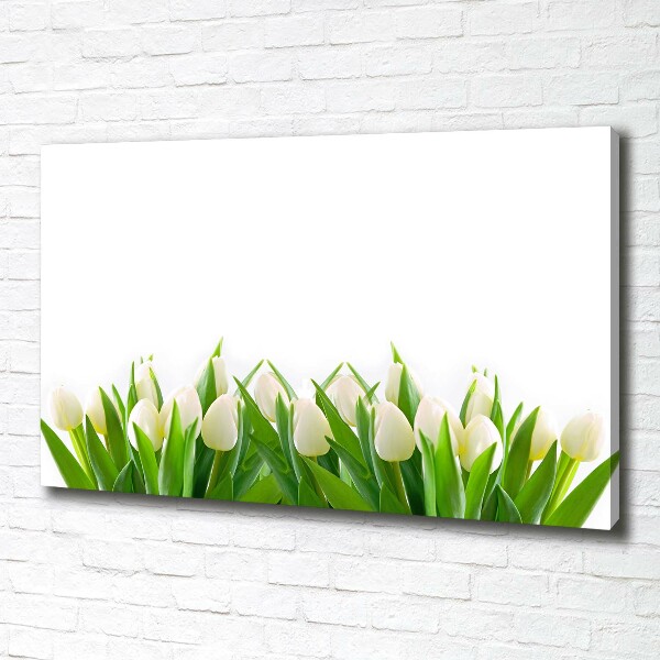 Canvas wall art White tulips